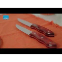 Amefa Hercule - 4 Steakmessen - Mahogany Red -Amefa Verkoopwinkel 1000088805 0103