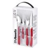Amefa Eclat Bestekset 4-delig Rood 2 -Amefa Verkoopwinkel 3546695210562 0